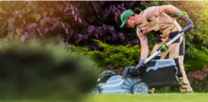 lawn mowing company Adelaide